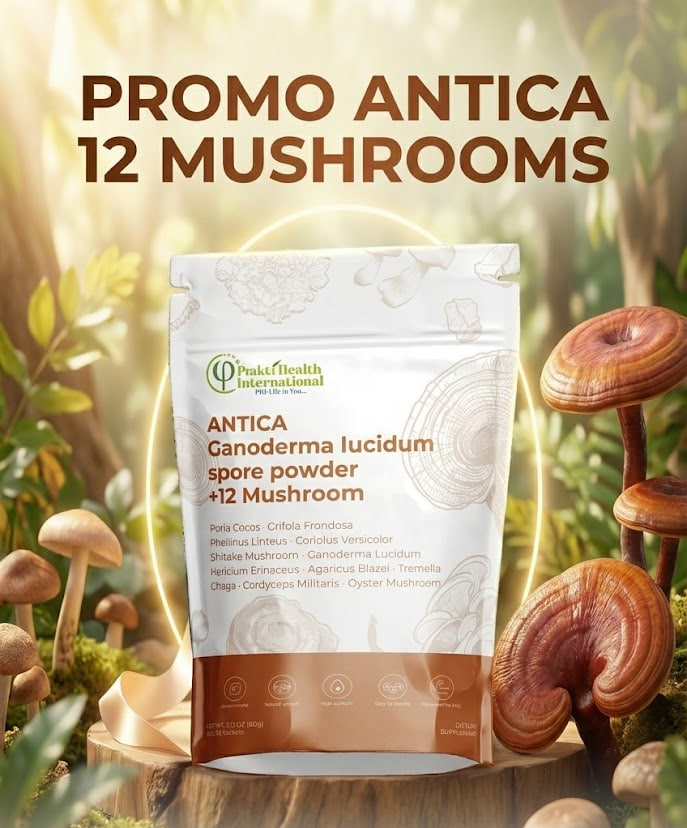 ANTICA 12 MUSHROOMS